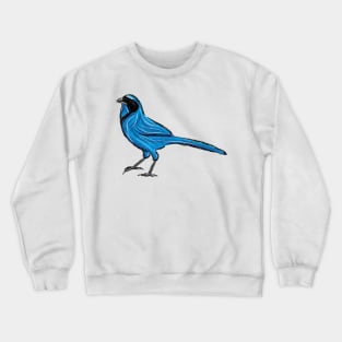 Artwork showing a Turquoise Jay I Crewneck Sweatshirt